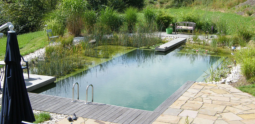 Schwimmteich Beispiel Schwimmteich Beispiel